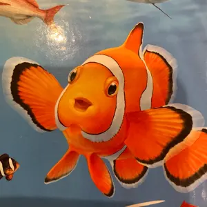 輪島塗 角丸五段重 蓋二枚 黒内朱 木製 輪島塗 角丸五段重 蓋二枚 黒内朱 木製 - メルカリ