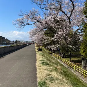 新品】 リバプールFC ボンバージャケット グリーン 24/25 M - メルカリ