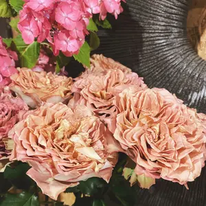 *mana*絶賛断捨離中＊＊