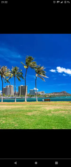 新政 2本セット no.6 Xtype コスモス 720ml - メルカリ