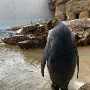 美品】L375S タント スプリング オーバーテック 7K - メルカリ