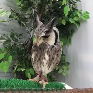 まめきち
