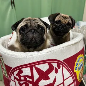 定*春様 遺品整理 金ネックレス - メルカリ