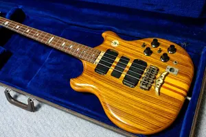 ビンテージ】Gibson SG-100 1971年製 MOD多数 - メルカリ