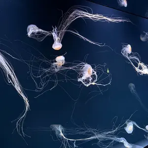 18TRIP エイトリ タワレコ ホログラム 缶バッジ 木ノ内太緒 30個セット 18TRIP エイトリ タワレコ ホログラム 缶バッジ 木ノ内太緒 30個