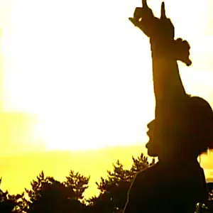 TWICE ツウィ チェヨン ダヒョン 直筆サイン入りチェキ ユニットポラ