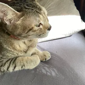空さん⭐︎プロフご一読ください