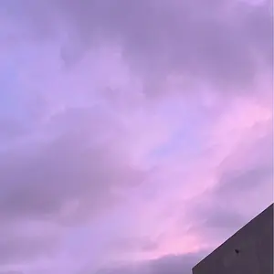 Angel様専用 ☆LOWYA☆ほぼ未使用フレーム単品ウォルナットSD