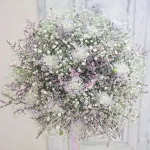 【おまとめ買い5%off】mimimi