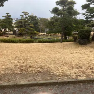 ブルーアーカイブ 水着ホシノ スリーブ プレイマット セット - メルカリ