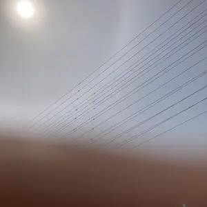 りんごりらっぱんつみきつねこ