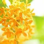 裁断本】実用茶事 応用編1〜4 4冊セット - メルカリ