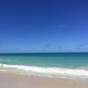 SKO118 希少 山本寛斎デザイン 鯉のぼり2m単品 お父さん鯉2m 黒鯉2m