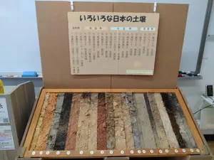 Shion .N様さ専用　四国着ツインエンジェルPARTY ZF5＋コイン不要機 Shion .N様さ専用 四国着ツインエンジェルPARTY ZF5＋コイン不要