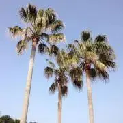 ☆はな☆購入前にプロフご覧ください