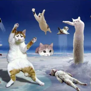 エレキギター フロイドローズ バナナヘッド ラッカー塗装 jackson
