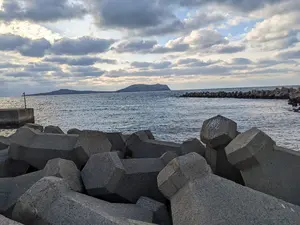 専用)s20 花梨スポルテッド瘤 0.5mm シャーペン - メルカリ