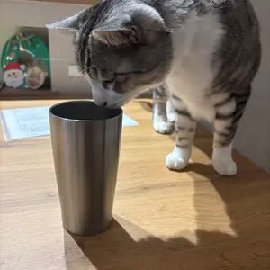 希少 マツダ 12A ロータリーエンジンハウジング 実物 - メルカリ