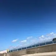 マリオ