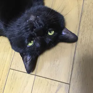 チャン・ドンゴン オフィシャル写真集 J - メルカリ