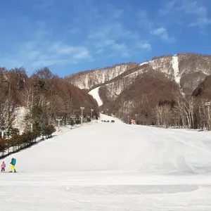 スキーSNOLIファイルホルダー SnoliダイヤモンドファイルCristall