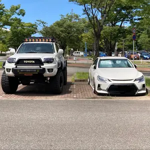 クラウンマークxマフラーデュアルストレートカッター無し