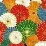 ✨着物ファンから大人気✨燈芯あしべ織汗取り 肌着 LLサイズ