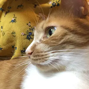 長野凌大 サイン入り生写真 - メルカリ