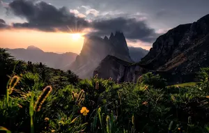 プラウエン スピッツ レーステーブルクロス 約32cm - メルカリ