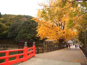 Neo Ergo（白）＋アクリルリストレスト - メルカリ