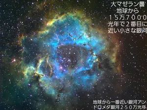 木炭化石（木化石）‼️とても珍しい‼️ - メルカリ