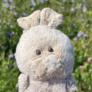 ヒロミコ