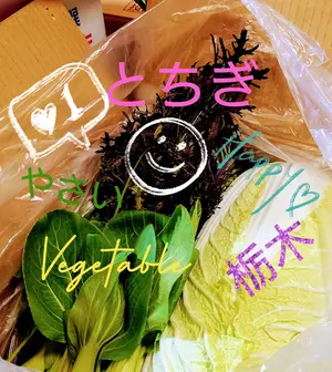 超メルカリ市限定！ゆうだい21♡栃木のお米15kg - メルカリ