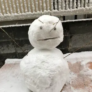 2016年 1stエディション シャイミ PSA 10 - メルカリ