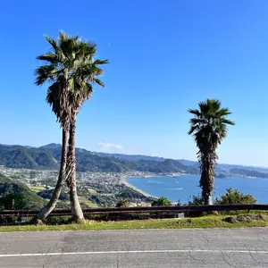 タイムセール☆20%OFF MICHAEL KORS ピンク ダウンジャケット - メルカリ