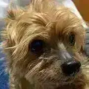 灯＊代行業者お断り