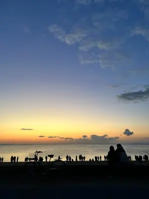 リッチェル 浴そう手すり 浴槽手摺り コンパクト未使用品 撮影の為