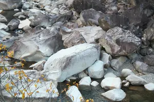 美品箱付き】RollerMouse RED 有線 RSI予防 希少！ - メルカリ