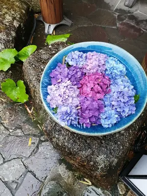 Msizeフリーサイズ