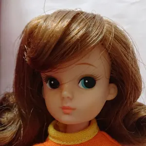 青森県黒石市 デジタル地図 2010年度版 ゼンリン電子住宅地図 - メルカリ