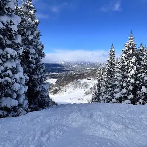 S*a様 THE DAY.HAKUBA 五竜ナイターモデル カービング 白馬 - メルカリ