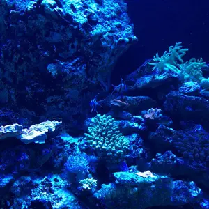 ブリヂストン B3MAXDドライバー 10.5 DIAMANA WB43 R - メルカリ