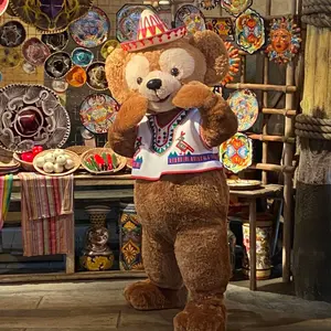 サブリナカーペンター Please Please Please Mirror - メルカリ