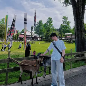TG489☆LONGWISE☆TT20☆電動アシスト☆自転車☆折りたたみ式 - メルカリ
