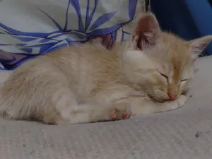 呪物】水辺の女の絵画 【曰く付き】 - メルカリ