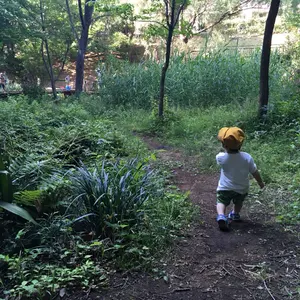 田中直純 オクトゴナル貫入 23cm - メルカリ