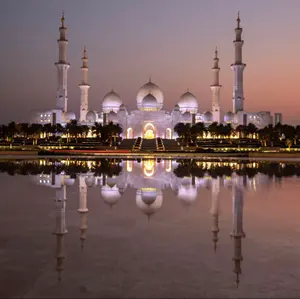 未使用級✨ 現行品 アドーア グログランレースコンビポンチョ コート