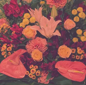 週刊少年ジャンプ展VOL.3 来場記念証 木兎 光太郎 - メルカリ