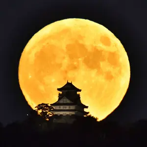 1脚 内田洋行 ロビーチェア 2P ラウンジ 長椅子 引き取り限定静岡県