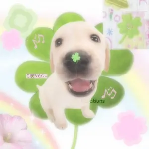 NERDY リボン ウィンドブレーカー ジャージ セットアップ 白 - メルカリ